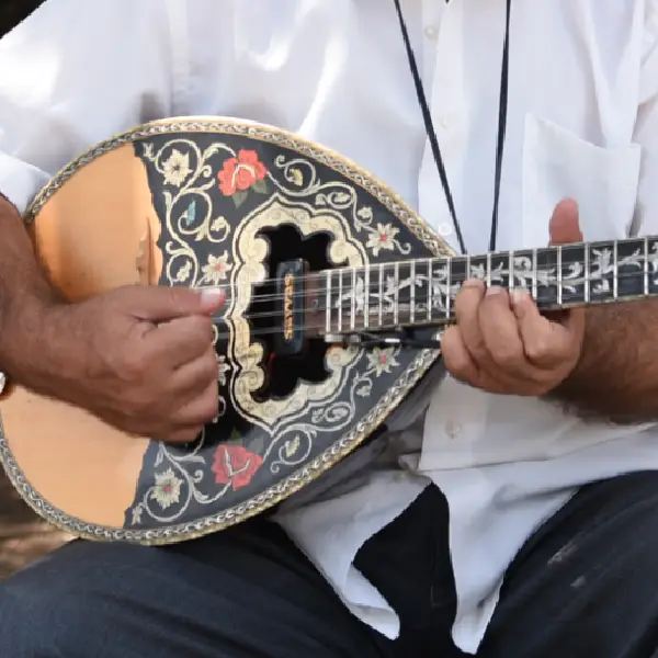 bouzouki musical instrument