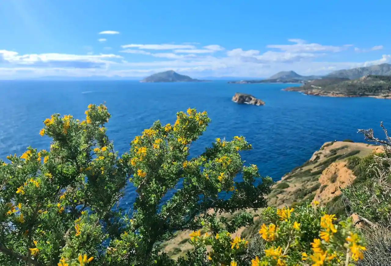 Cape Sounio sea view