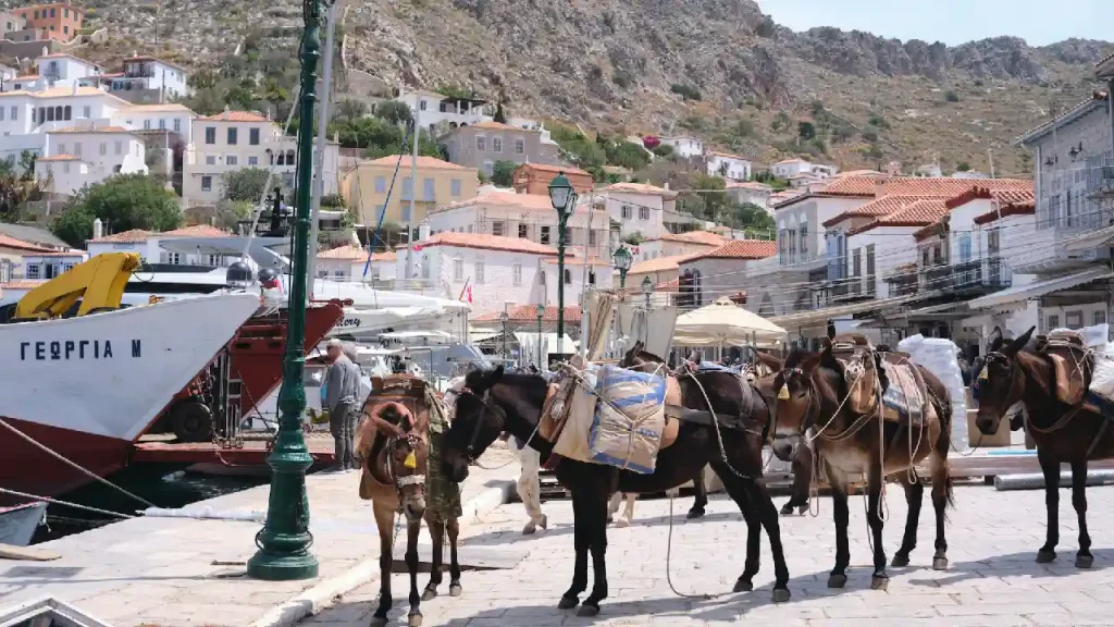 Hydra island