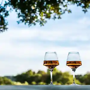 Two wine glasses sit on a white table in front of a green field.