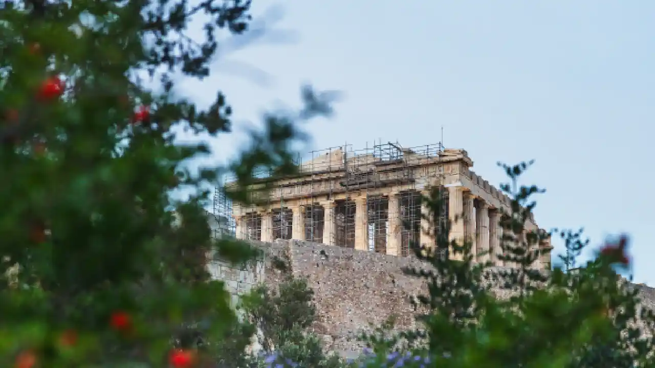 A view of the Parthenon on the Acropolis of Athens, partially obscured by a foreground of lush green trees and colorful flowers. The temple, with its iconic columns and scaffolding, stands majestically against a clear blue sky.