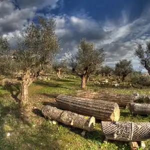 Ancient stone columns in Sparta, weathered and broken, lie scattered on a grassy field surrounded by olive trees under a dramatic sky with dark clouds and patches of blue. The scene evokes a sense of history and the passage of time.