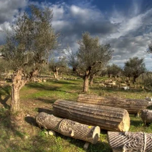 Ancient stone columns in Sparta, weathered and broken, lie scattered on a grassy field surrounded by olive trees under a dramatic sky with dark clouds and patches of blue. The scene evokes a sense of history and the passage of time.